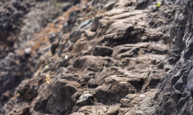 Navigating Crawler’s Ledge: The Kalalau Trail’s Most Infamous Section